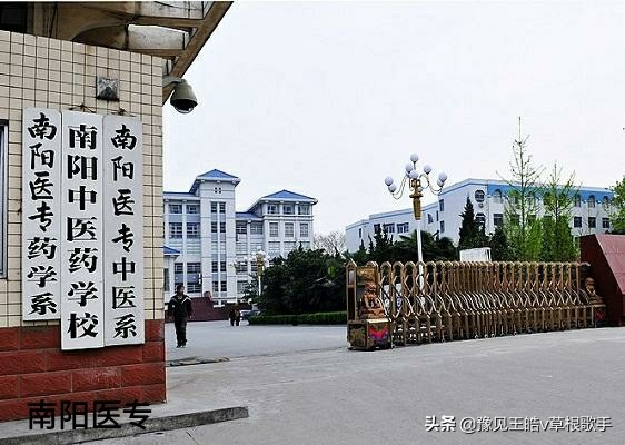 河南几所中医卫校,河南医专升格