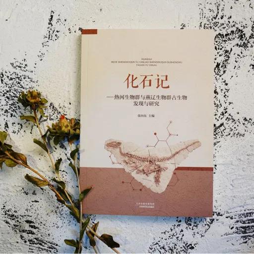 哪些恐龙是在辽西发现的化石,恐龙化石里可以提取恐龙的dna吗