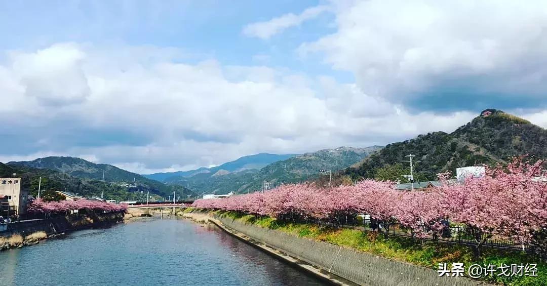 日元暴跌在日本买房的亏了吗,日元跌破146必须赎回美债吗