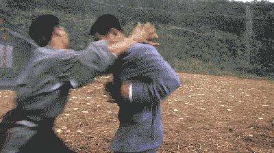 成龙元彪洪金宝甄子丹李连杰电影,李连杰和成龙的武打动作对比