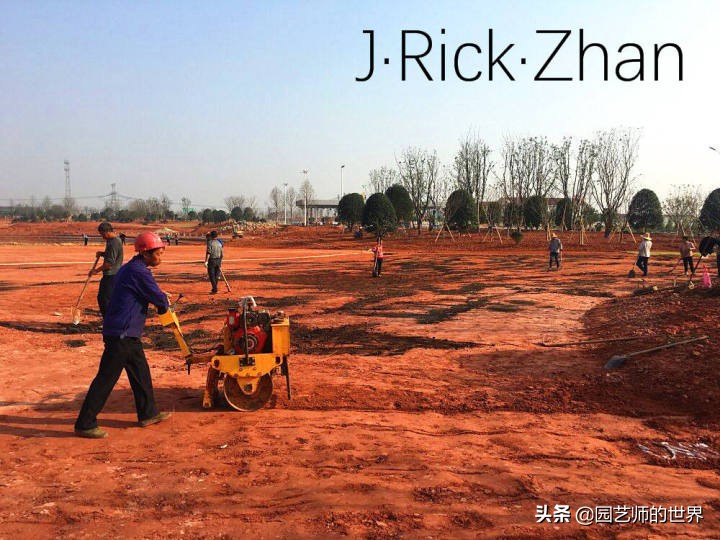 果岭草坪的种植养护方法及技巧,怎么种植一个可以躺的草坪