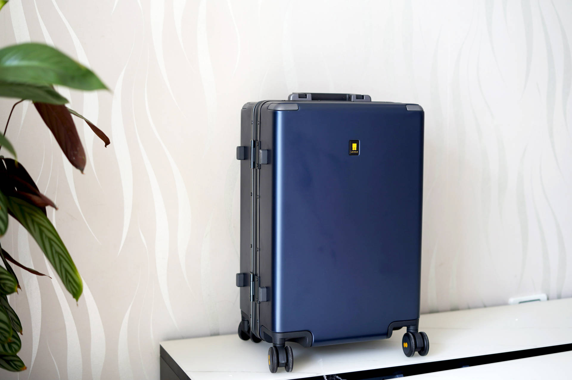 老罗地平线8号level8,地平线8号是老罗的么