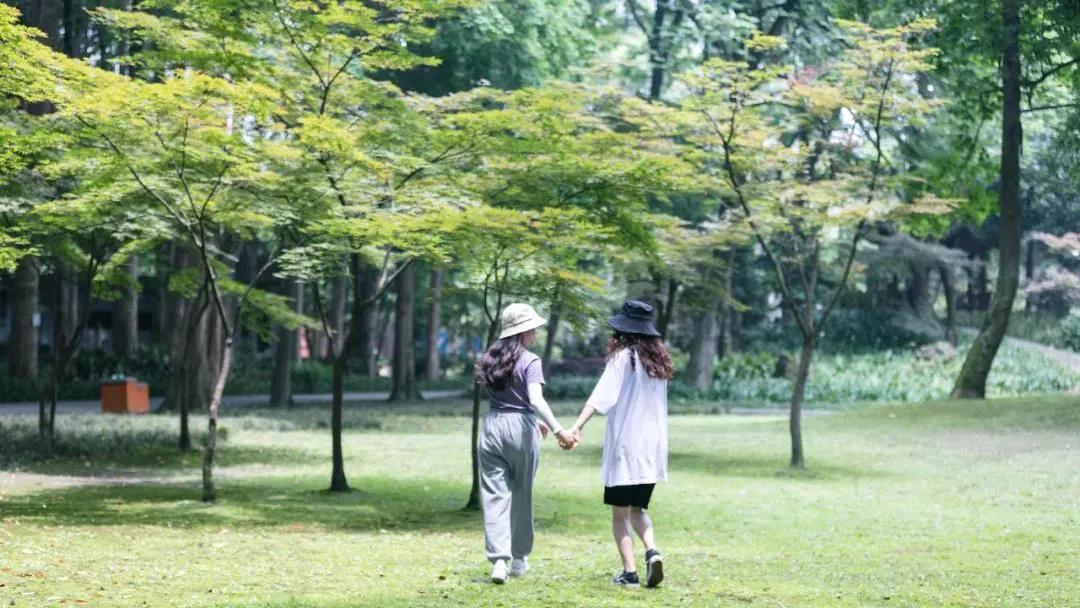 城市观察合肥,城市观察城市生活