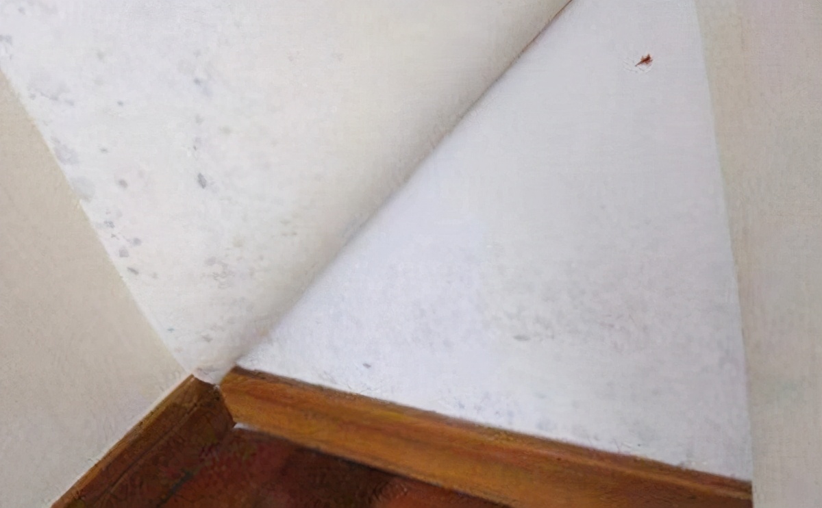 墙面发霉哪个祛霉喷剂好,墙面发霉除霉剂