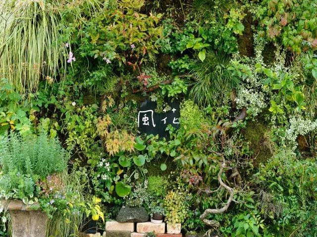 日本最有名的花店,日本青山花店