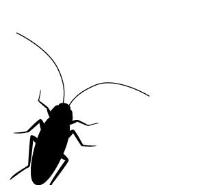 教你一招灭蟑螂不花一分钱,灭蟑螂安全有效的方法