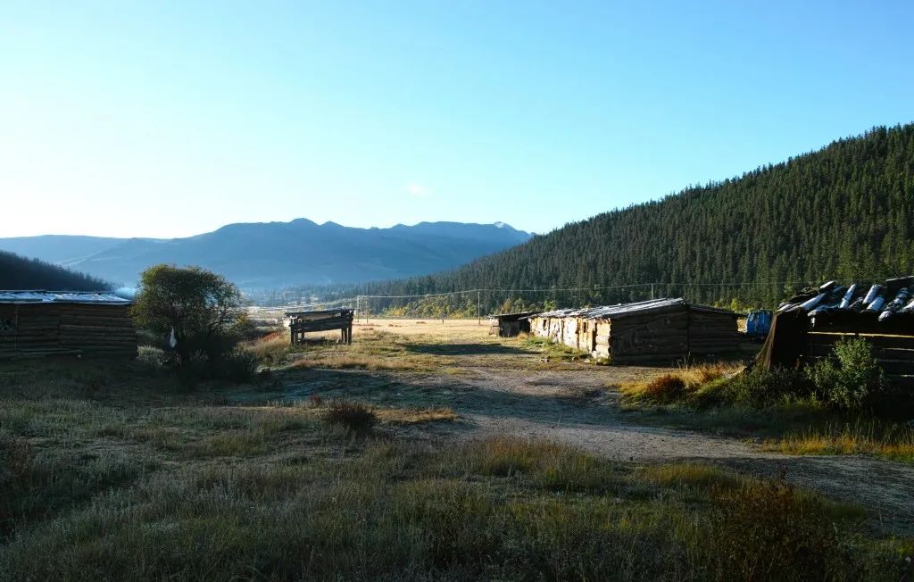 丁真和四川什么关系,丁真背后是谁