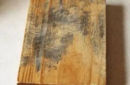 德国不锈钢菜板抗菌防霉,除菌防霉菜板