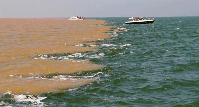 导游证免费进景区山东,山东能使用导游证免费的景点