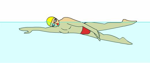 自由泳长距离游如何手臂不累,自由泳手臂发力的正确方法