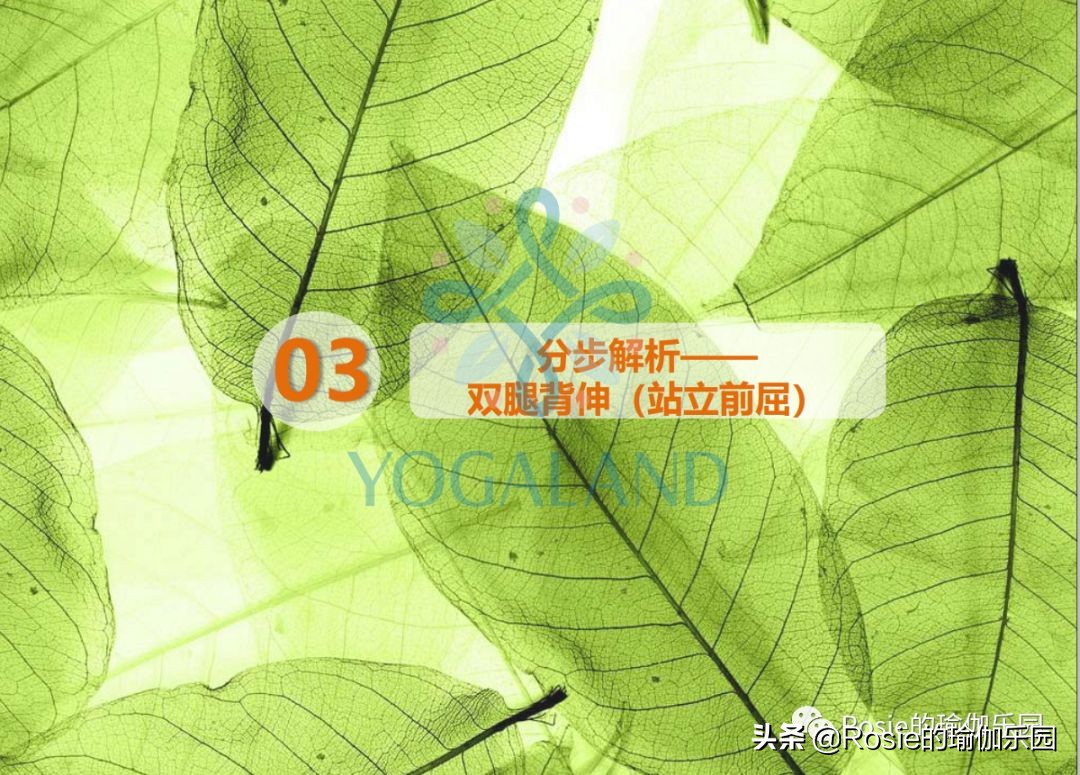 瑜伽小白如何在家自己练瑜伽,瑜伽零基础入门的基本体式有哪些