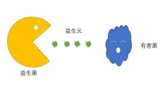 中老年益生元配方奶粉,益生元益生菌含量最高的三段奶粉