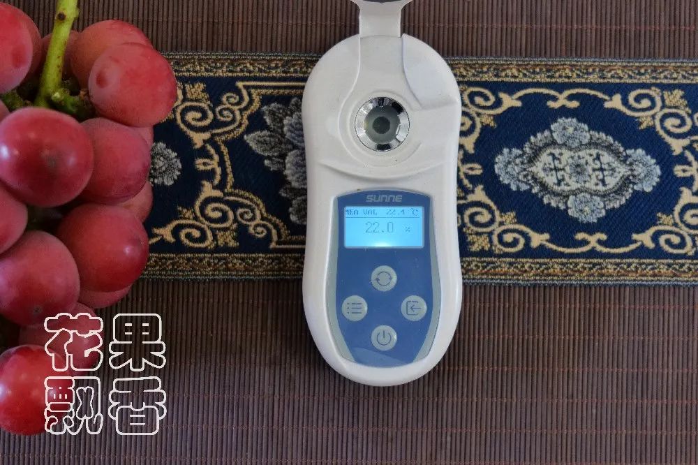 为什么大家都喜欢蹦迪,为什么喜欢跳坑