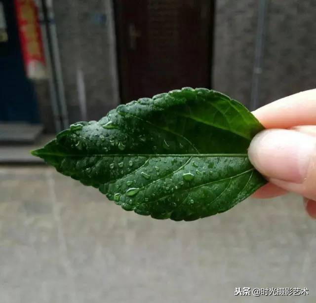 手机摄影人像创意作品教程,手机拍摄光影的艺术教程