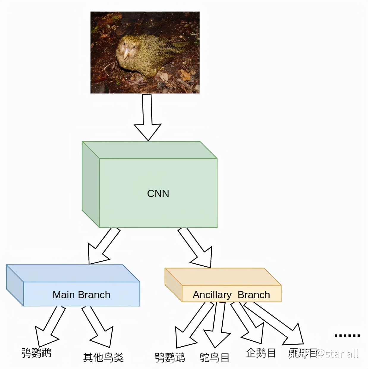 相关分析基础上怎么做模型分析,模型先验符号怎么确定