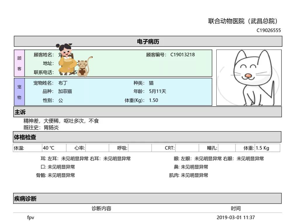 猫瘟到底能不能治好,猫瘟是不是不治必死