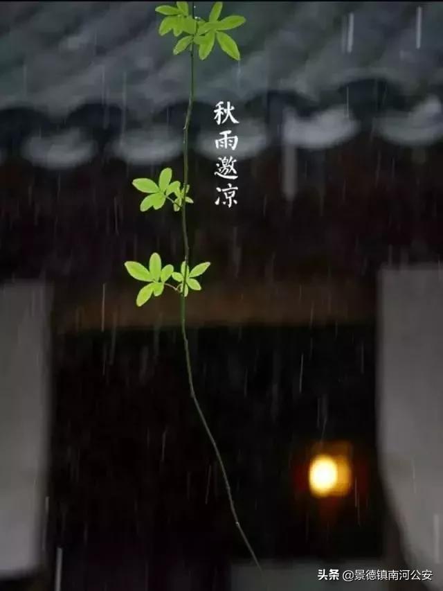 诗词丨33首名作，尽现大唐荣耀289年