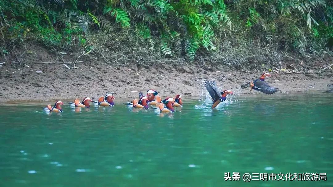 嗨！重新认识一下，我叫建宁！进来为我投票吧！