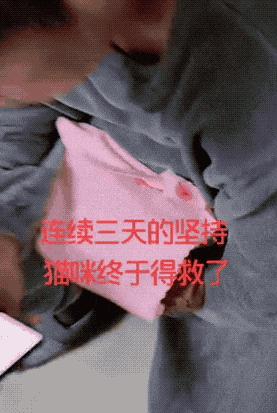 鐚吇浜虹被,鐚吇鍏殑绮樹汉杩樻槸姣嶇殑绮樹汉