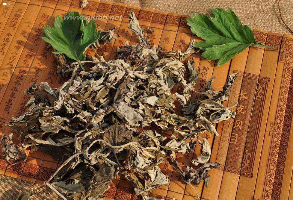 不是迷信用什么东西可以驱邪,辟邪的好方子有什么用途