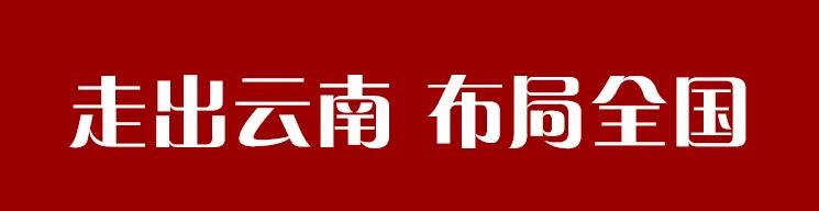 走出大山走向世界的企业,走出云南是哪一年