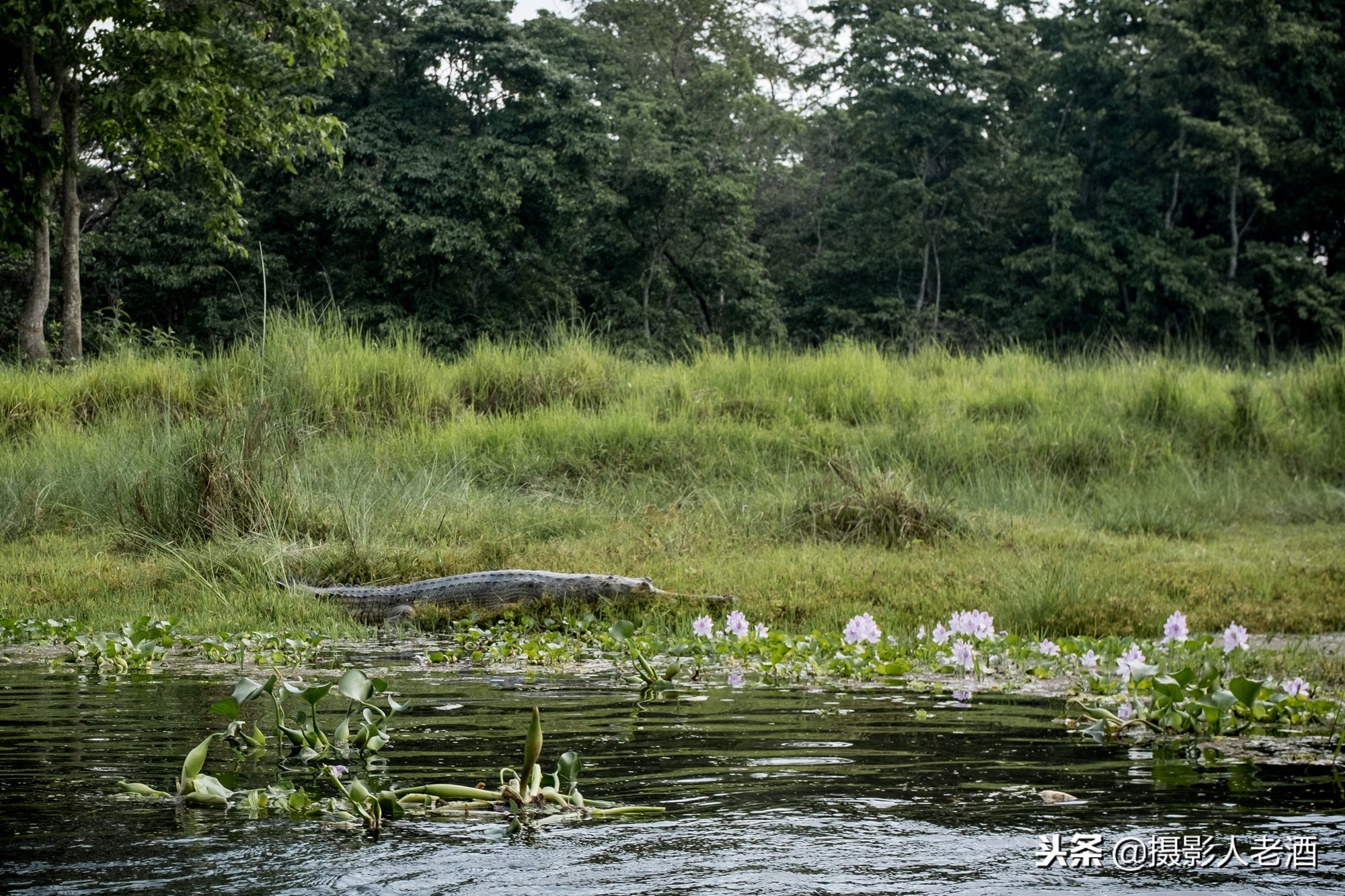 尼泊尔旅行攻略大全视频播放,尼泊尔全攻略