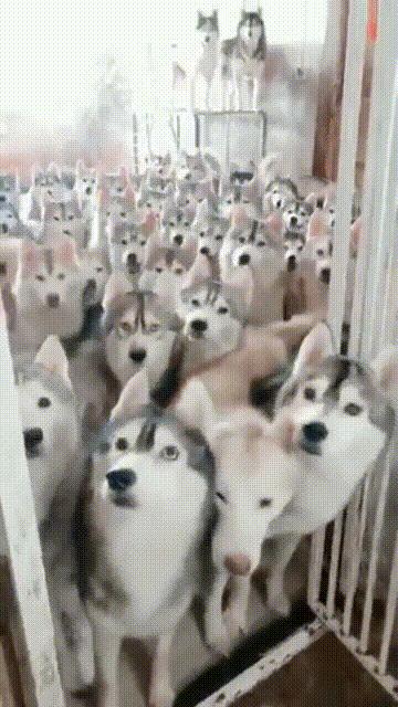 真心话大冒险输了剧情,真心话大冒险认真就输了