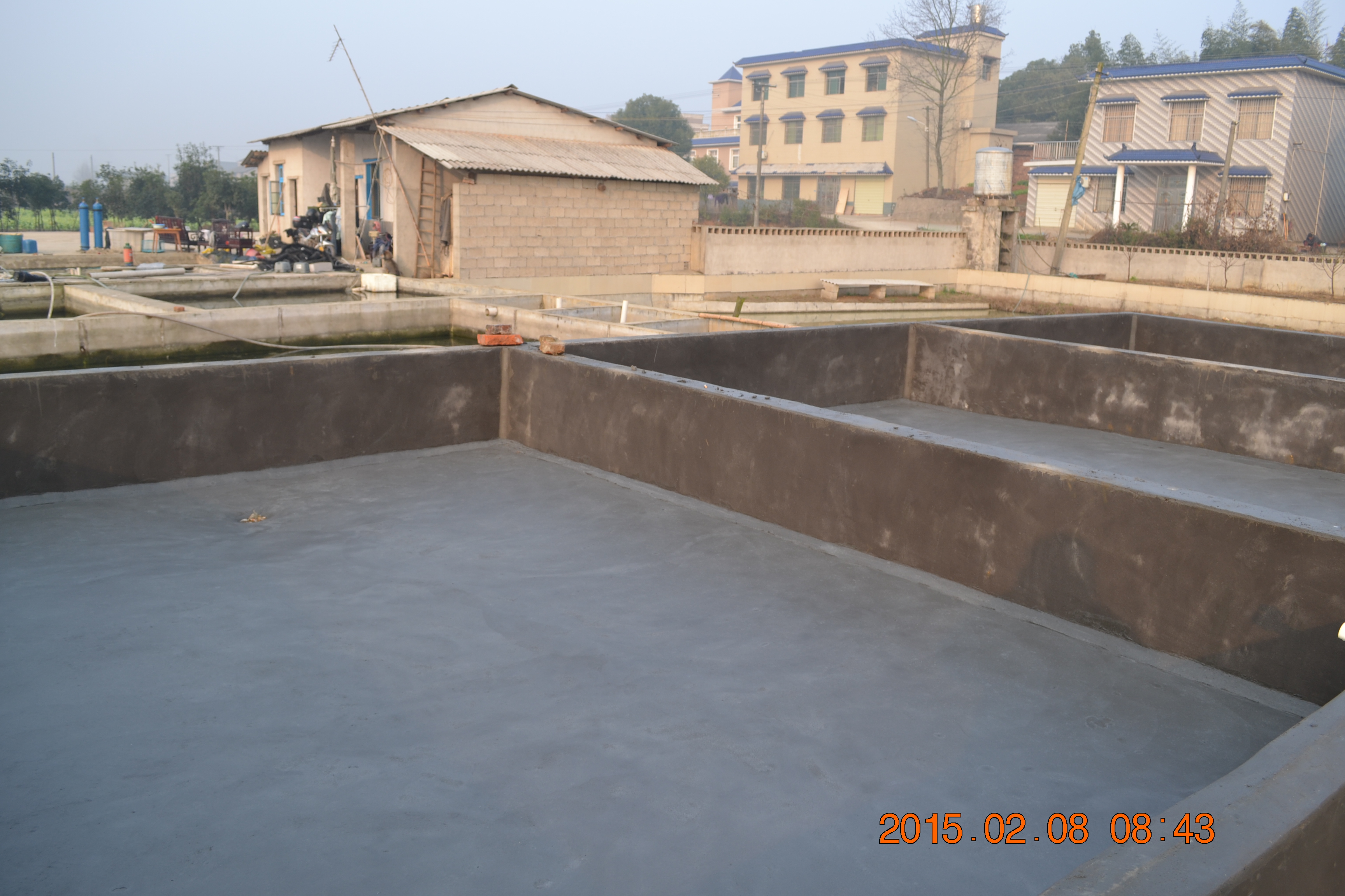 湖南最好的锦鲤养殖基地,湘潭锦鲤养殖