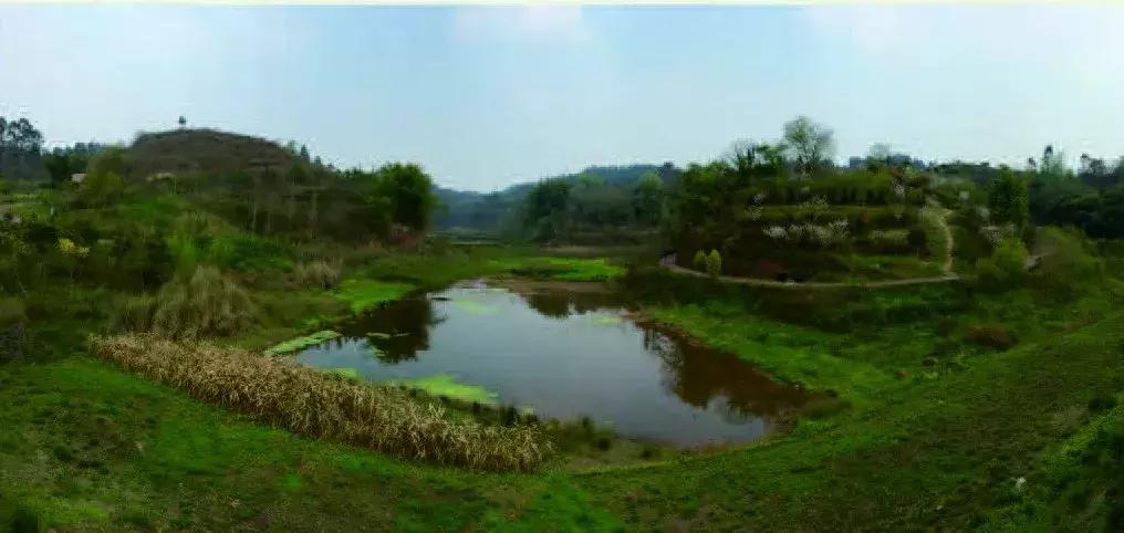 乐山市生态文明,庆祝新中国成立70周年特辑宣讲