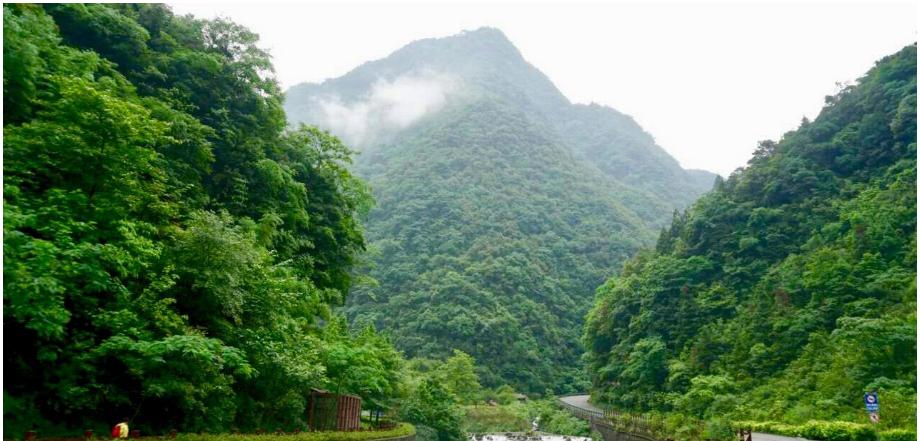 重庆市南川区是什么县,每天一顿火锅重庆