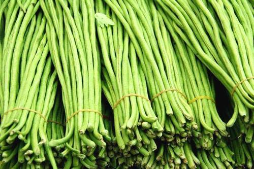 爱吃豆角的一定要收藏,肉末豇豆的家常做法懒人