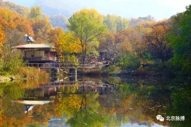 北京国家森林公园风景,画说北京故事