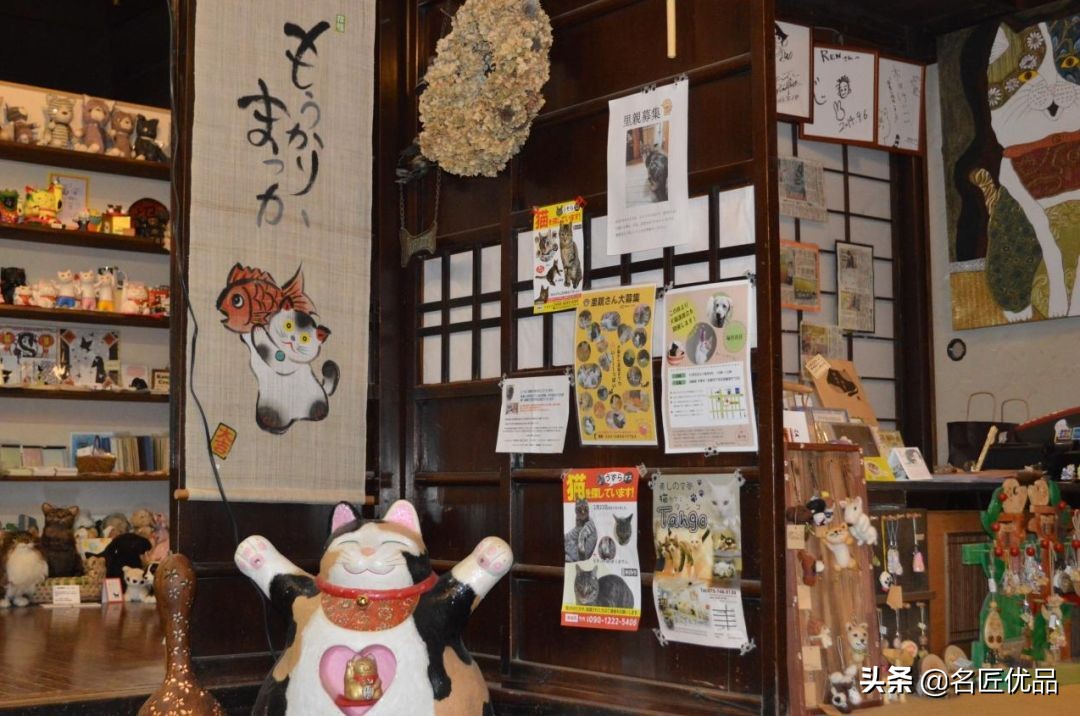 20岁少年建“猫猫寺”，和尚住持全是猫咪，网友：不敢撸不敢吸