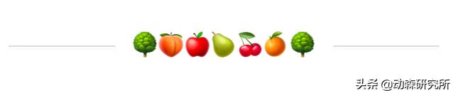 动森npc,动森能邀请几个npc来岛上居住