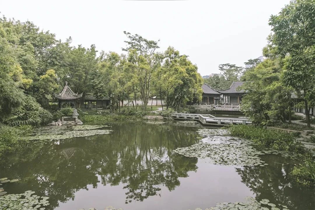 2021深圳免费适合遛娃玩地方排名,深圳免费游玩景点推荐