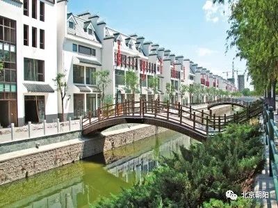 朝阳群众最新动态,朝阳群众辉煌战绩