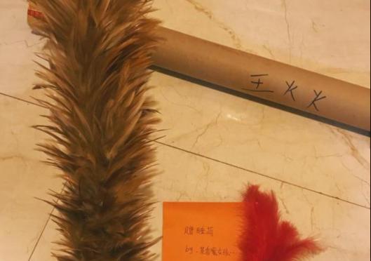 孙俪沈梦辰,沈梦辰孙俪良心获赞