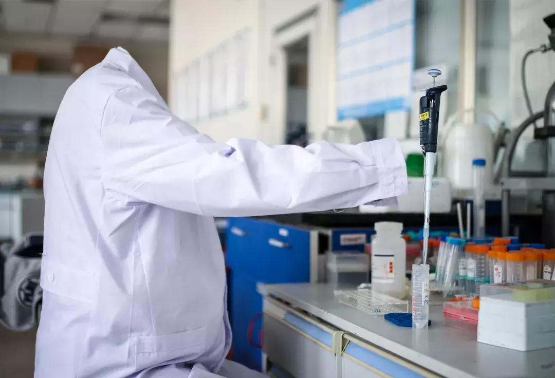 摄影大赛征稿|赋予色彩的世界