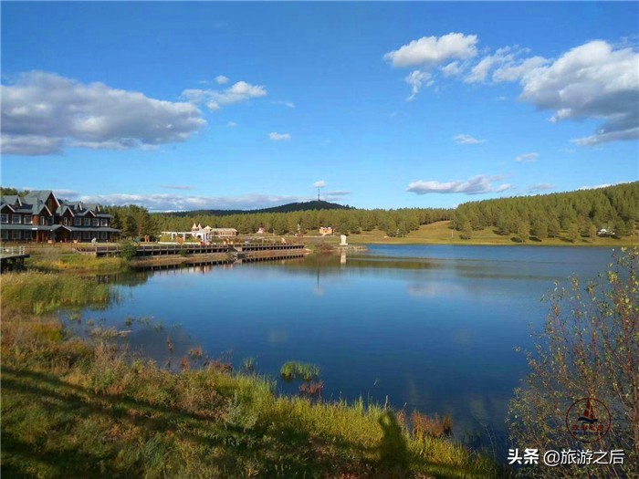 呼伦贝尔白桦林景区游玩时长,呼伦贝尔樟子松