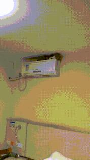 被猫踩了一脚出了一点点血,猫咪被人踩了一脚口吐白沫