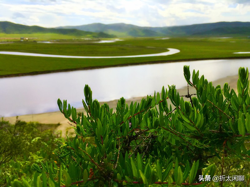 红原若尔盖自驾五日游,甘南若尔盖红原大草原