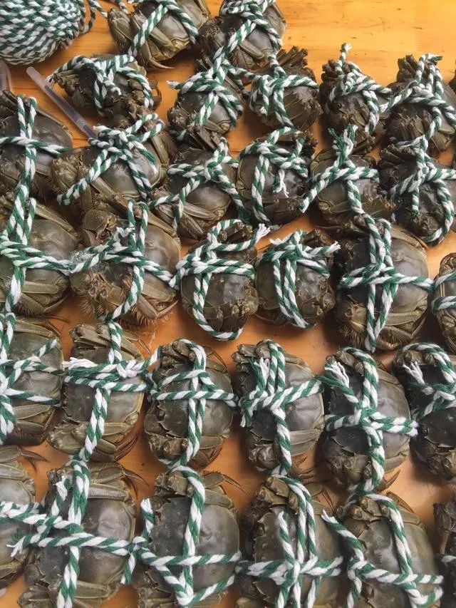 到阳澄湖蟹庄品尝正宗生态大闸蟹,都江堰哪里吃大闸蟹最好