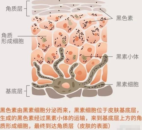 脸部黑黄暗淡做什么医美,脸部肤色不均匀做什么医美