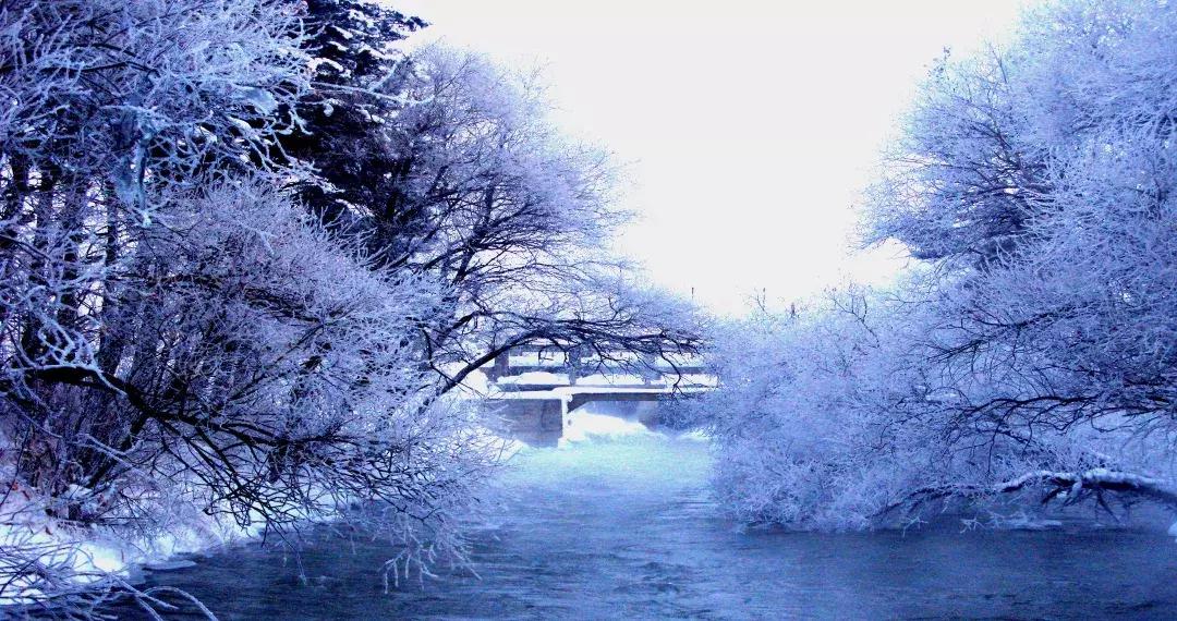 大美龙江黑河恋歌视频,大美龙江冰雪画