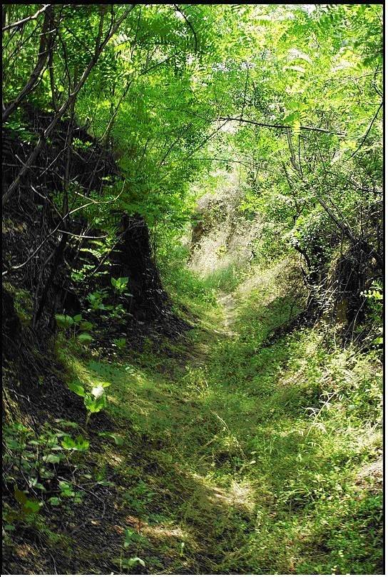 中国地图历史未解之谜,中国地图背后的历史故事