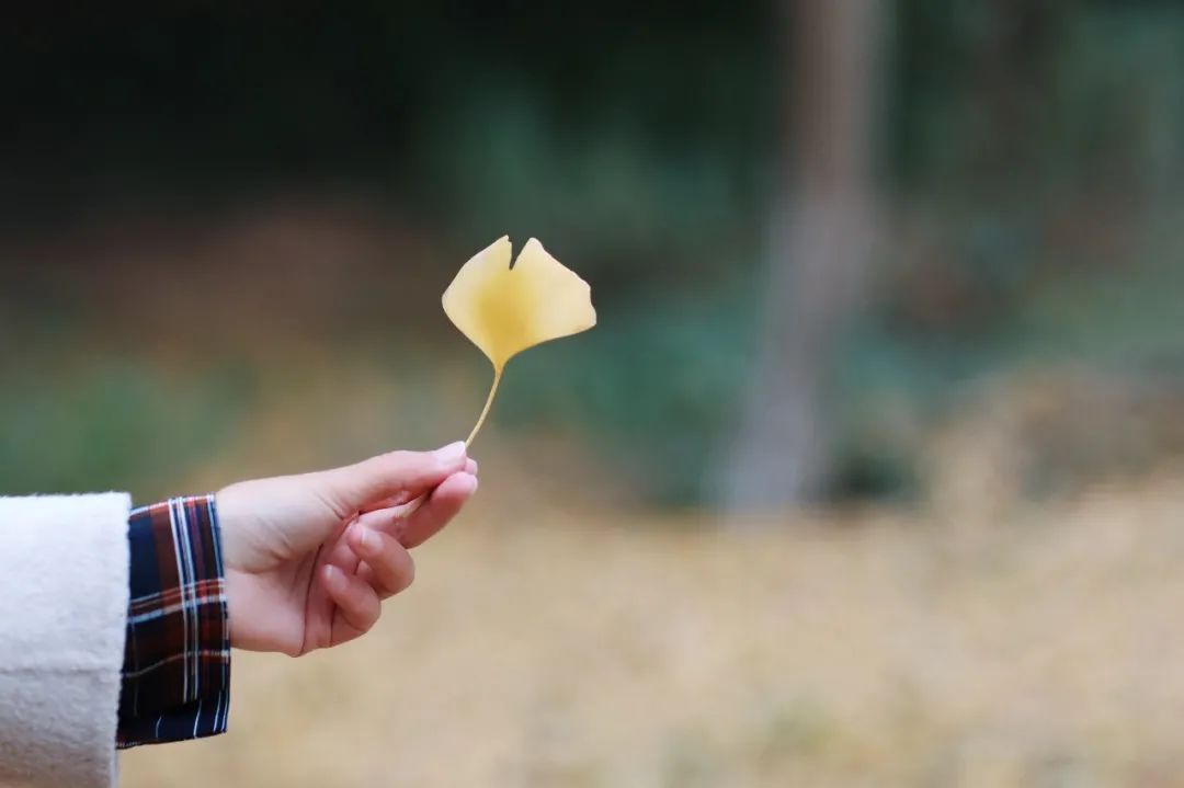 闃虫緞婀栨矙瀹舵禍鐖婇浮,涓轰簡澶ч椄锜规潵鍒伴槼婢勬箹