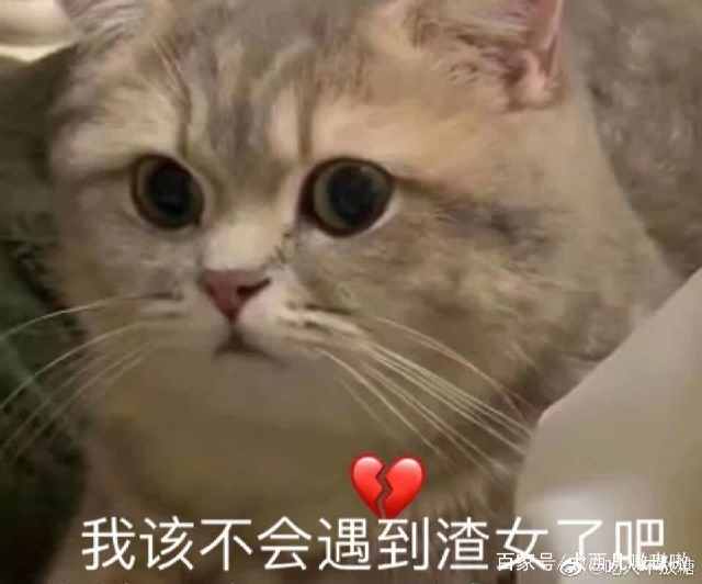 表情包我能怎么办,那我怎么办表情包可爱