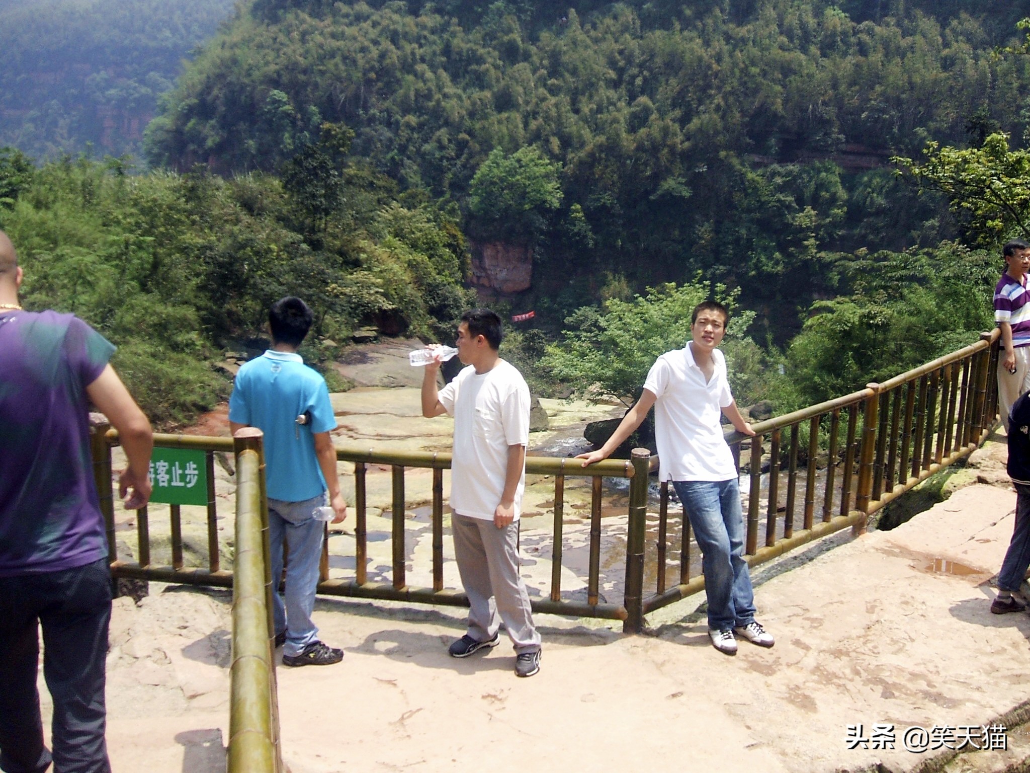 四川宜宾竹海风景,宜宾蜀南竹海全视频