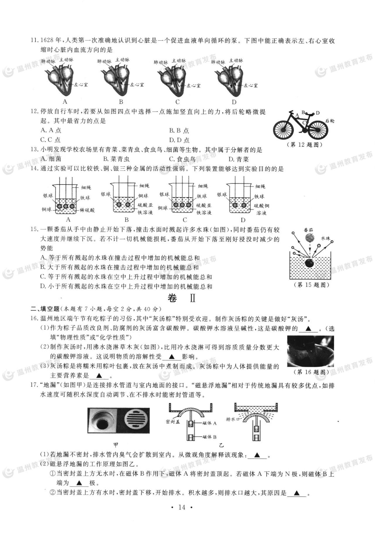 2022年温州中考科学试卷,温州2019年中考科学试卷