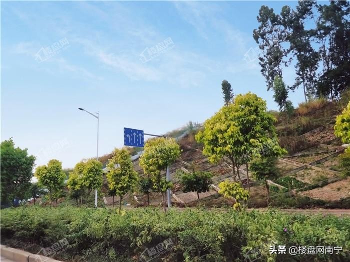 南宁九中高中部新校区最新消息,南宁九中兴宁校区何时竣工